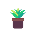 guzmania icon