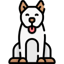 perro icon