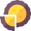 pastilla icon