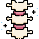 coluna vertebral 