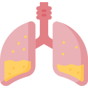 pulmones