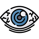 ojo icon