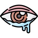 ojo icon