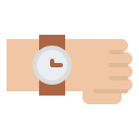 reloj de pulsera icon