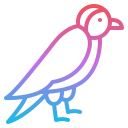 pájaro icon