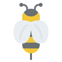 abeja icon