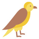 pájaro