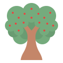 Árbol icon