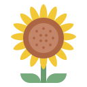 girasol icon