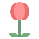 tulipán icon