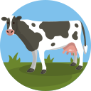 vaca icon