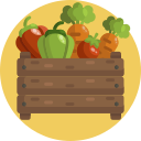 verduras icon