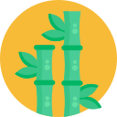 Bamboo 