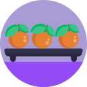 naranjas icon