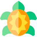 tortuga icon