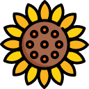 girasol