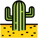 cactus icon