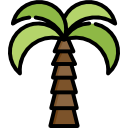 palmera icon