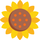 girasol icon