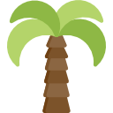 palmera icon