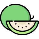 melón icon