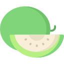 melón