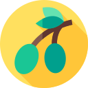 aceituna icon