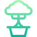 bonsai icon