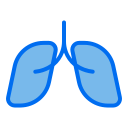 pulmones