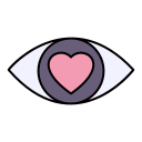 ojo icon