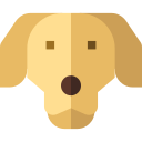 perro perdiguero de oro icon