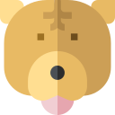 chow chow icon