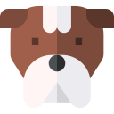 buldog icon