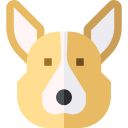 corgi icon