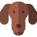 perro tejonero icon