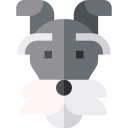 schnauzer icon