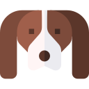 cavalier king charles spaniel icon