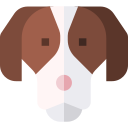 spaniel icon