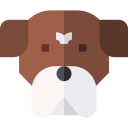 boxer icon