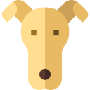 galgo icon