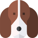 basset hound icon