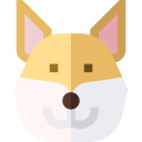 akita 