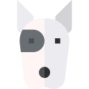 bull terrier icon