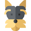 yorkshire terrier icon