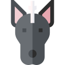 xoloitzcuintle icon