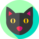 gato negro icon