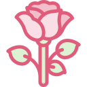 rosa icon