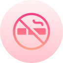 no fumar icon