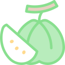 guayaba icon