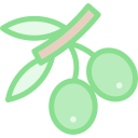 aceituna icon